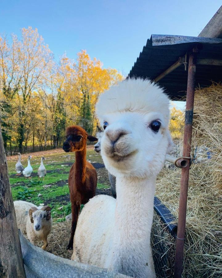 La Ferme Des Vergnes Gabillou Exterior foto